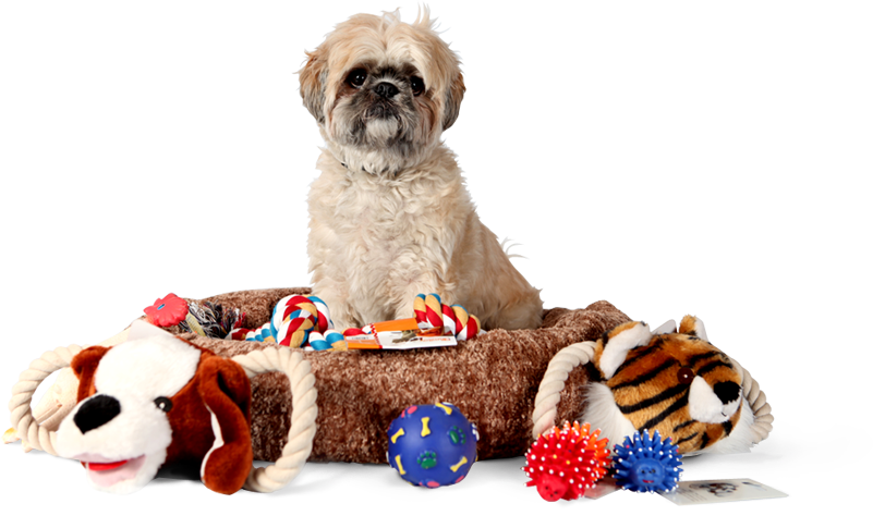 Finding Discount Pet Supplies Online