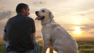 How to Cope With the Grief of Pet Loss