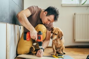 Simple Exercises to Improve Your Dog's Health