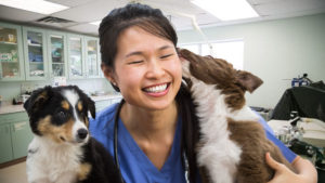Why Everyone Needs a Good Veterinarian in Their Life