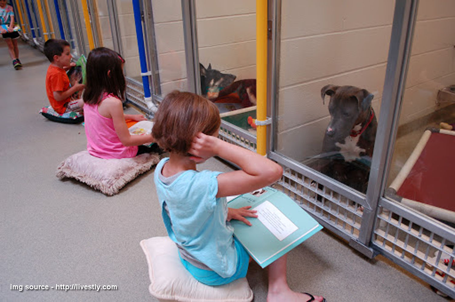 Shelter Buddies Of Missouri