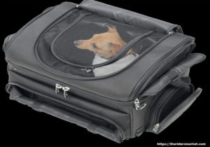 Dog Carriers & Travel Bags - They Are Not Silly Sounding