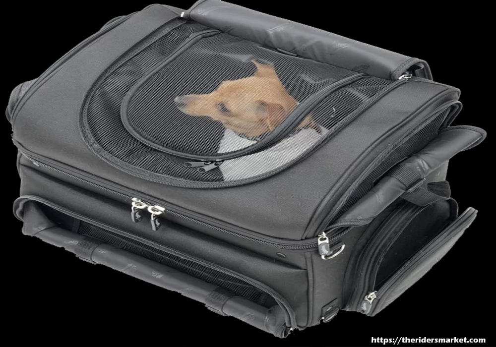 Dog Carriers & Travel Bags – They Are Not Silly Sounding