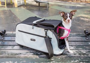 Pet Carriers for Small Dogs - Enjoy Easy Pet Travel