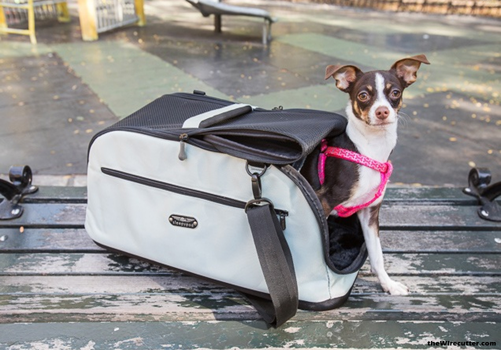 Pet Carriers for Small Dogs – Enjoy Easy Pet Travel