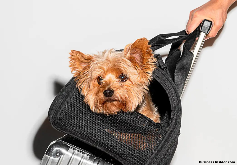 Pet Carriers: A Convenient Way to Travel