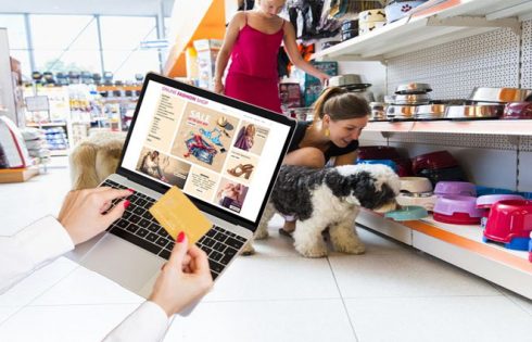 Begin a web-based Enterprise - Open a web-based Pet Store Internet site