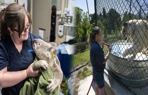 Exotic Animal Rescue Jobs