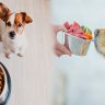 Healthy Dog Food