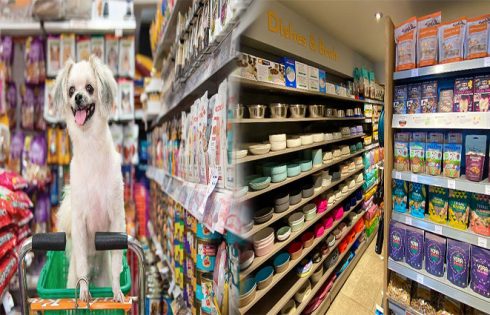 Shopping at a Pet Supermarket