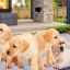 Your Ultimate Guide to Finding Labradors for Sale Tips and Tricks