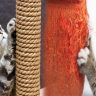 How to Train a Cat to Use a Scratching Post Instead of Furniture
