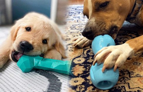 Indestructible Squeaky Toys for Aggressive Chewers: The Perfect Playtime Solution