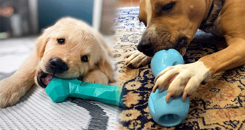 Indestructible Squeaky Toys for Aggressive Chewers: The Perfect Playtime Solution
