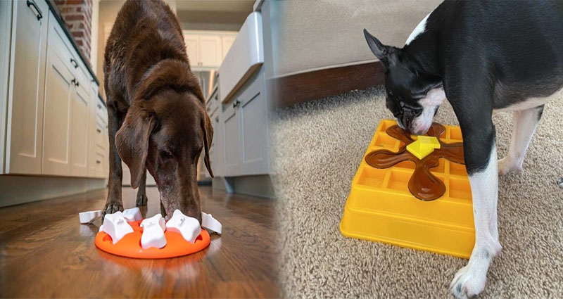 Interactive Puzzle Toys for Smart Dogs