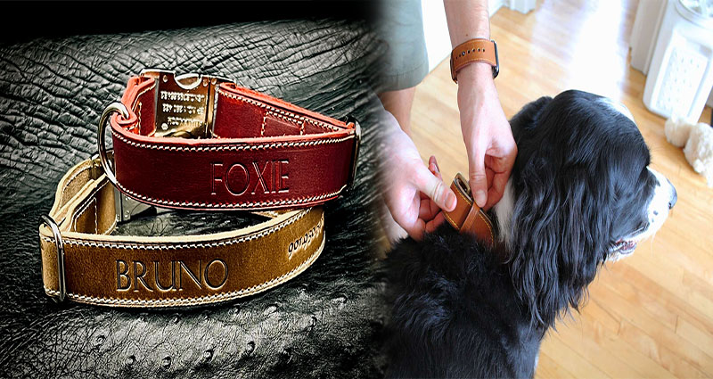 Personalized Embroidered Dog Collars with Quick-Release Buckles for Easy Identification