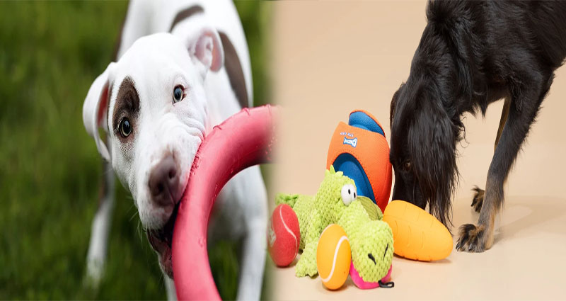 The Importance of Durable Chew Toys for Large Breed Puppies
