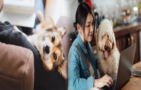The Importance of Home Checks and Vet References for Pet Adoption