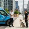 Raw or Fresh Dog Food Delivery Services for Active Dogs in Urban Areas in the US
