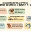 Requirements for Adopting a Senior Dog from a Shelter in the US