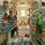 Vertical Territory Ideas for Indoor Cats in Multi-Cat Homes